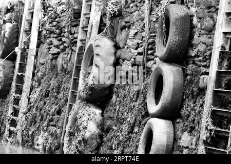 Die Mauern des Hafens von Polperro haben Leitern, Reifen und Stufen, um den Fischern bei Ebbe den Zugang zum Steg über dem Hafen zu erleichtern. Stockfoto