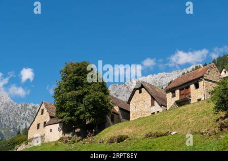 Blick auf den antiken Ortsteil Orias in der Nähe von Pesariis in Norditalien mit den „stavoli“, ländlichen Bauten, die in der Vergangenheit von Landwirten und Züchtern genutzt wurden Stockfoto