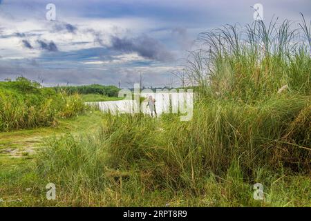 Dramatick Landschaftsfotografie mit fabelhaftem bewölktem Himmel am 11. September 2022 von Ruhitpur, Bnagladesh Stockfoto