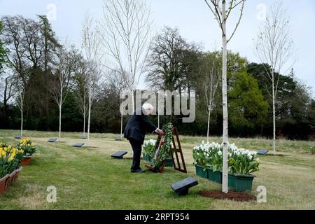 200412 -- DUBLIN, 12. April 2020 Xinhua -- der irische Präsident Michael D. Higgins nimmt an einer besonderen Gedenkfeier zum 104. Jahrestag des Osteraufstands in Dublin, Irland, am 12. April 2020 Teil. Die irische Regierung markierte am Sonntag den Osteraufstand, einen gescheiterten bewaffneten Aufstand im Jahr 1916, ohne öffentliche Versammlungen, als COVID-19-Fälle sich 10.000 im Land näherten. Das Amt des Präsidenten Irlands/Handout Via Xinhua IRELAND-DUBLIN-EASTER RISING-MEMORATION PUBLICATIONxNOTxINxCHN Stockfoto