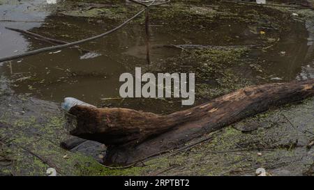 Dreckiger Stadtfluss, Stausee, See, Plastikflaschen im Wasser. Das Konzept der Verschmutzung durch den Menschen, der Stauseen-Industrie, der Umweltkatastrophe, des Todes Stockfoto