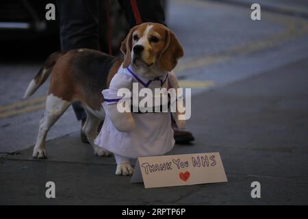 200417 -- LONDON, 17. April 2020 Xinhua -- Foto aufgenommen am 16. April 2020 zeigt einen Hund vor dem wöchentlichen Klatsch für den NHS National Health Service in London, Großbritannien. Foto von Tim Ireland/Xinhua BRITAIN-LONDON-COVID-19-NHS-CLAPPING PUBLICATIONxNOTxINxCHN Stockfoto