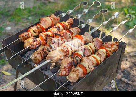 Gegrillte Fleischstücke auf Spießen, Kebab mit Gemüse, Kochvorgang auf Feuer, auf Brazier. Gebratenes mariniertes Fleisch, gegrillt, Picknick Stockfoto