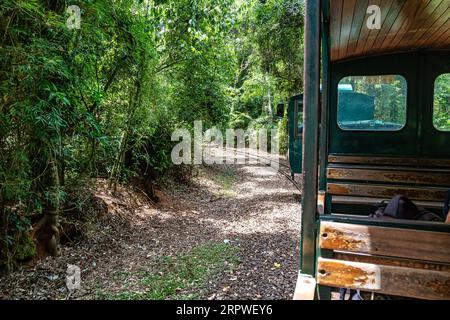 Rainforest Ecological Train im Iguazu Falls National Park in Argentinien. Zug zwischen den Bahnhöfen im Puerto Iguazu Nationalpark. Touristen überqueren die Grenze Stockfoto