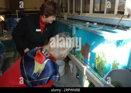 Besuchen Sie das Birch Aquarium der Scripps Institution of Oceanography, La Jolla, Kalifornien, mit einer Rede über die Erforschung alternativer Energiequellen und einer Führung durch das Aquarium und die Umgebung der Scripps Institution Stockfoto