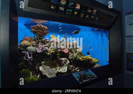 Besuchen Sie das Birch Aquarium der Scripps Institution of Oceanography, La Jolla, Kalifornien, mit einer Rede über die Erforschung alternativer Energiequellen und einer Führung durch das Aquarium und die Umgebung der Scripps Institution Stockfoto