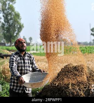 200430 -- PEKING, 30. April 2020 -- Ein Bauer trennt den Weizen von der Spreu während der COVID-19-Sperre in Jammu, Winterhauptstadt des von Indien kontrollierten Kaschmirs, 29. April 2020. STR/Xinhua XINHUA FOTOS DES TAGES Stringer PUBLICATIONxNOTxINxCHN Stockfoto