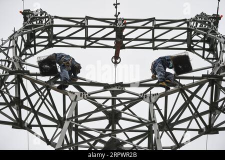 200430 -- WENCHANG, 30. April 2020 -- Mitarbeiter installieren künstliche Nester auf einem Strommasten in Wenchang, Südchinesische Provinz Hainan, 23. April 2020. Mit einem milden Klima ist Hainan ein Paradies für Vögel. Insbesondere von März bis Juli jedes Jahres, der Brutsaison für Vögel, eine große Anzahl von Vögeln nisten und legen Eier. Da die Übertragungsleitungen in der Regel durch Feuchtgebiete, Teiche und Felder verlaufen, in denen Vögel sich aufhalten, werden Strommasten zu idealen Nistplätzen. Damit Vögel und Kabel harmonisch nebeneinander existieren können, hat die Hainan Power Grid Company ihre traditionelle Art der Abwehr von Vögeln A geändert Stockfoto