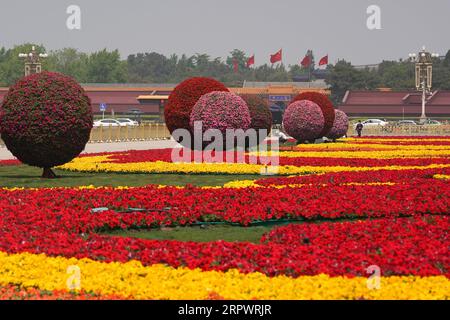 200430 -- PEKING, 30. April 2020 -- Foto aufgenommen am 30. April 2020 zeigt Blumenbeete zur Feier des bevorstehenden Internationalen Arbeitstages auf dem Tian-Anmen-Platz in Peking, der Hauptstadt Chinas. CHINA-PEKING-TIAN ANMEN QUADRATISCHE BLUMENBEETE-ARBEITSTAG CN JUXHUANZONG PUBLICATIONXNOTXINXCHN Stockfoto
