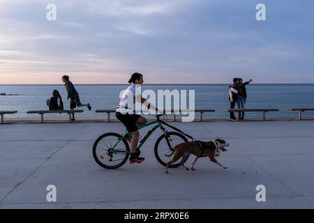 200502 -- BARCELONA, 2. Mai 2020 Xinhua -- Eine Frau radelt mit einem Hund am Bogatell Strand in Barcelona, Spanien, 2. Mai 2020. Die spanische Regierung hat im Einklang mit den Vorschriften über die soziale Distanzierung Zeitnischen für Outdoor-Aktivitäten festgelegt, um eine weitere Ansteckung durch COVID-19 zu verhindern. Foto von Joan Gosa/Xinhua SPAIN-BARCELONA-COVID-19-OUTDOOR-AKTIVITÄTEN PUBLICATIONxNOTxINxCHN Stockfoto