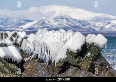 Eisbedeckte Betonblöcke als Wellenbrecher am japanischen Strand im Winter. Hokkaido Island, Japan Stockfoto