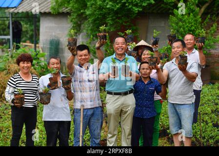 200521 -- LUZHAI, 21. Mai 2020 -- Dorfbewohner der Ölteekamellien-Pflanzgenossenschaft posieren für ein Gruppenfoto im Gumu Village im Luzhai County, Stadt Liuzhou, südchinesische autonome Region Guangxi Zhuang, 10. Mai 2020. In den letzten Jahren hat Luzhai County seine charakteristischen Industrien bei der Armutsbekämpfung gestärkt. Rund 89 Prozent der von Armut betroffenen Haushalte im Luzhai County sind in charakteristischen Branchen tätig, darunter Pflanzen und Tierhaltung. Von 2016 bis 2019 haben alle 22 von Armut betroffenen Dörfer im Luzhai County die Armut abgeschwächt, mit der Anzahl verarmter Dörfer Stockfoto