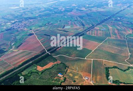 200521 -- LUZHAI, 21. Mai 2020 -- Luftaufnahme aufgenommen am 18. Mai 2020 zeigt Orangerien und Zuckerrohrfelder im Luzhai County, Stadt Liuzhou, südchinesische autonome Region Guangxi Zhuang. In den letzten Jahren hat Luzhai County seine charakteristischen Industrien bei der Armutsbekämpfung gestärkt. Rund 89 Prozent der von Armut betroffenen Haushalte im Luzhai County sind in charakteristischen Branchen tätig, darunter Pflanzen und Tierhaltung. Von 2016 bis 2019 haben alle 22 von Armut betroffenen Dörfer im Luzhai County die Armut abgeschwächt, wobei die Zahl der verarmten Bewohner im County zurückging Stockfoto