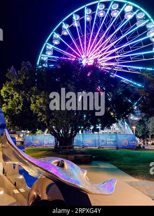 Cairns, Australien - 17. November 2022: Das Reef Eye Ferris Wheel bei Nacht von der Cairns Esplanade aus gesehen. Stockfoto