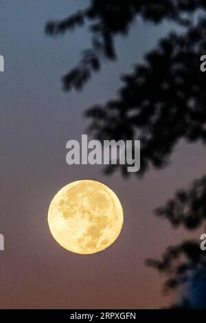 Super Blue Vollmond Einstellung über Rocky Mountains, Salida, Colorado, USA Stockfoto