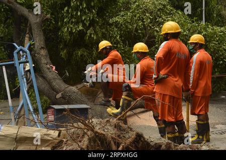 200524 -- KOLKATA, 24. Mai 2020 Xinhua -- Ein Mitglied der National Disaster Response Force NDRF zerhackt einen Baumzweig, der nach dem Landfall des Zyklons Amphan in Kalkata, Indien, am 24. Mai 2020 auf eine Straße gefallen ist. STR/Xinhua INDIA-KOLKATA-CYCLONE AMPHAN-AFTERMATH PUBLICATIONxNOTxINxCHN Stockfoto