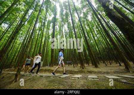 200526 -- PEKING, 26. Mai 2020 -- Touristen besuchen den Shanwangping Karst National Ecological Park im südwestchinesischen Chongqing, 21. August 2019. China werde seinen Umwelt- und Umweltschutz in den nächsten fünf Jahren nicht lockern, sagte Umweltminister Huang Runqiu am Rande der jährlichen Sitzung der nationalen Legislative. Die für den 13. Fünfjahresplanzeitraum 2016-2020 festgelegten Umwelt- und Umweltschutzziele werden reibungslos erreicht, sagte Huang und fügte hinzu, dass sieben von neun verbindlichen Zielen für die Bewertung der Schutzarbeiten ach gewesen seien Stockfoto