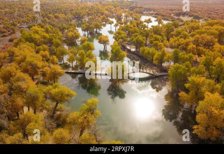 200526 -- PEKING, 26. Mai 2020 -- Luftaufnahme aufgenommen am 16. Oktober 2019 zeigt die Herbstlandschaft des Populus euphratica Waldes in Ejin Banner, Nordchinas Autonome Region Innere Mongolei. China werde seinen Umwelt- und Umweltschutz in den nächsten fünf Jahren nicht lockern, sagte Umweltminister Huang Runqiu am Rande der jährlichen Sitzung der nationalen Legislative. Die für den 13. Fünfjahresplanzeitraum 2016-2020 festgelegten Umwelt- und Umweltschutzziele werden reibungslos erreicht, sagte Huang und fügte hinzu, dass sieben von neun verbindlichen Zielen festgelegt werden Stockfoto