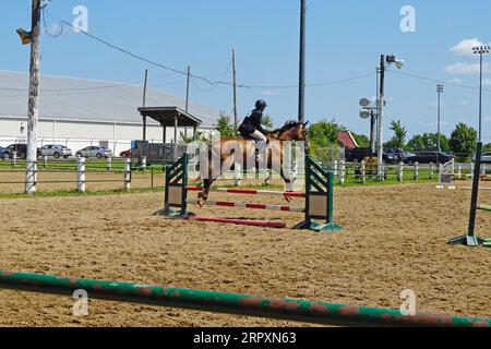 Pferd und Reiter springen über einen Zaun Stockfoto
