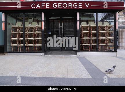 200530 -- PARIS, 30. Mai 2020 -- Eine Taube wird vor einem geschlossenen Restaurant an der Champs Elysees Avenue in Paris, Frankreich, gesehen, 18. März 2020. Das nationale französische Statistikinstitut INSEE erklärte am 29. Mai, dass das Bruttoinlandsprodukt Frankreichs in den ersten drei Monaten des Jahres um 0,5 Punkte auf minus 5,3 Prozent gesenkt wurde. FRANCE-PARIS-ECONOMY-GDP GaoxJing PUBLICATIONxNOTxINxCHN Stockfoto