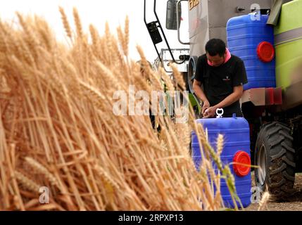 200530 -- ZHOUKOU, 30. Mai 2020 -- Qin Yinhong fixiert Erntemaschinen auf einem Weizenfeld im Dorf Nanling, Zhoukou Stadt in der zentralchinesischen Provinz Henan, 29. Mai 2020. Qin Yinhong, 51, ein Weizensammler aus dem Wuji County in der nordchinesischen Provinz Hebei, arbeitet seit über 20 Jahren. Jedes Jahr fährt er seine Maschine, die Weizen in den zentralchinesischen Provinzen Henan und Hebei erntet. In diesem Jahr beginnt die Ernte am 20. Mai. Während seiner Arbeitstage steht Qin um fünf Uhr morgens auf und arbeitet bis acht oder neun Uhr abends, wobei er etwa 80 Mu etwa 5,33 Hektar W erntet Stockfoto