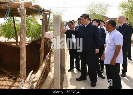 News Themen der Woche KW24 News Bilder des Tages 200608 -- WUZHONG, 8. Juni 2020 -- der chinesische Präsident Xi Jinping, ebenfalls Generalsekretär des Zentralkomitees der Kommunistischen Partei Chinas und Vorsitzender der Zentralen Militärkommission, erfährt vom 8. Juni 2020 über die Bemühungen zur Armutsbekämpfung im Dorf Hongde in der Stadt Wuzhong, der Autonomen Region Ningxia Hui im Nordwesten Chinas. XI inspizierte Ningxia am Montag. CHINA-NINGXIA-XI JINPING-INSPECTION CN XIEXHUANCHI PUBLICATIONXNOTXINXCHN Stockfoto