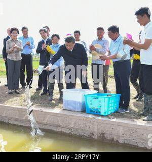 200609 -- YINCHUAN, 9. Juni 2020 -- der chinesische Präsident Xi Jinping, ebenfalls Generalsekretär des Zentralkomitees der Kommunistischen Partei Chinas und Vorsitzender der Zentralen Militärkommission, besucht einen ländlichen Ökotourismuspark, um mehr über die Entwicklung der lokalen Landwirtschaft im Helan County, der nordwestchinesischen Autonomen Region Ningxia Hui, zu erfahren, 9. Juni 2020. XI inspizierte am Dienstag die Stadt Yinchuan während seiner Reise nach Ningxia. CHINA-NINGXIA-YINCHUAN-XI JINPING-INSPECTION CN XIEXHUANCHI PUBLICATIONXNOTXINXCHN Stockfoto