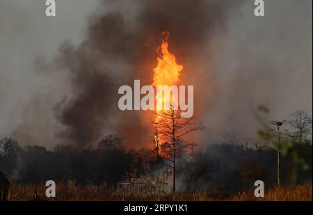 News Themen der Woche KW24 News Bilder des Tages 200610 -- ASSAM, 10. Juni 2020 -- das Foto vom 9. Juni 2020 zeigt Flammen, die an der Stelle eines Gasbrunnens auf einem Ölfeld im indischen Bundesstaat Tinsukia ausbrechen. STR/Xinhua INDIA-ASSAM-OIL-FIELD-GAS WELL LECK-FIRE Stringer PUBLICATIONxNOTxINxCHN Stockfoto