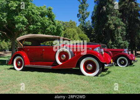 Packard 8, zwei Fahrzeuge, die nebeneinander auf dem Gras im Lacey Park geparkt sind. Stockfoto