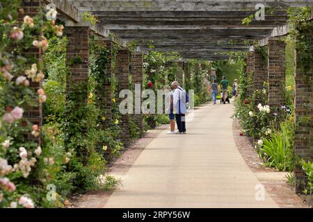 200614 -- LONDON, 14. Juni 2020 Xinhua -- die Menschen schauen sich Blumen in den Kew Gardens in London, Großbritannien, am 14. Juni 2020 an. Die Kew Gardens, ein UNESCO-Weltkulturerbe in London, wurden vor kurzem wieder für die Öffentlichkeit geöffnet, nachdem sie aufgrund der COVID-19-Pandemie geschlossen wurden, aber es gibt immer noch Richtlinien zur sozialen Distanzierung und die Anzahl der Besucher ist begrenzt, da der Eintritt nur durch vorab gebuchte Tickets erfolgt. Foto von Tim Ireland/Xinhua BRITAIN-LONDON-COVID-19-KEW GARDENS-REOPENING PUBLICATIONxNOTxINxCHN Stockfoto