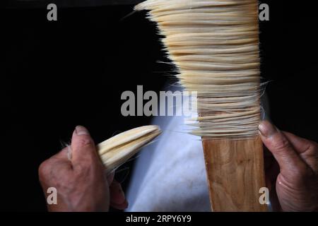 200617 -- JINGXIAN, 17. Juni 2020 -- Ein Arbeiter passt die Haare für Xuan-Bürsten bei einem lokalen Hersteller im Jingxian County, ostchinesische Provinz Anhui, 4. Juni 2020 an. Tintenpinsel werden in der traditionellen chinesischen Malerei und Kalligraphie verwendet. Zusammen mit Tintenstein, Tintenstab und Xuan-Papier bilden diese vier Schreibgeräte die vier Schätze der Studie. Der Xuan-Pinsel ist eine hochgelobte Art von Tintenbürsten und soll aus der Qin-Dynastie um 200 v. Chr. in der Gegend von Xuanzhou im alten China stammen. Das Haar der Xuan-Bürste wird normalerweise aus den Haaren von Kaninchen, Wiesel oder Ziegen hergestellt, je nach Stockfoto