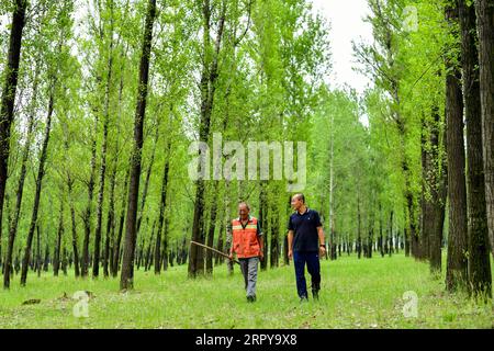 200621 -- TAIYUAN, 21. Juni 2020 -- Liu Zhijun R, erster Sekretär des Dorfes Jingyubao, spricht mit einem Bewohner, der aus der Armut im Dorf Jingyubao im Lanxian County, Provinz Shanxi in Nordchina, am 11. Juni 2020 ausgestorben ist. Liu Zhijun und Li Cuiye sind ein Paar, das in der Verwaltung von Landmaschinen bzw. im Service Center für Regierungsangelegenheiten in der Stadt Lyuliang arbeitet. Im Juli 2015 meldeten sich Liu und Li freiwillig als erste Sekretärinnen im Dorf Jingyubao im Lanxian County und im Dorf Nantong im Xingxian County, beide unter der Gerichtsbarkeit von Lyuliang. Trotzdem Stockfoto