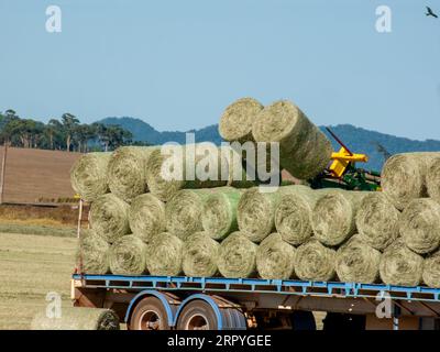 Beladen von Circular Hay Ballen auf Lkw, Kiri, Australien. Stockfoto