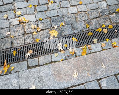 Metallgitter des Entwässerungssystems auf dem Fußgängergehweg mit herbstgelben Blättern. Stockfoto