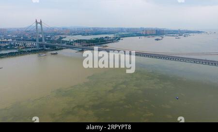 200712 -- YUEYANG, 12. Juli 2020 -- Luftaufnahme aufgenommen am 12. Juli 2020 zeigt die Dongting Lake Brücke in der Stadt Yueyang, der zentralchinesischen Provinz Hunan. Das Wasser an einer der hydrologischen Stationen am zweitgrößten Süßwassersee Chinas hat aufgrund der ständigen Regenfälle und der flussaufwärts fließenden Ströme das garantierte Niveau überschritten. Um etwa 3 Uhr morgens am Sonntag erreichte das Wasser an der Chenglingji-Wasserstation des Dongting-Sees, in der zentralchinesischen Provinz Hunan, 34,56 Meter, 0,01 Meter höher als der garantierte Pegel und 2,06 Meter höher als der Warnpegel, so die lokalen Behörden. CHINA- Stockfoto