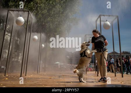 200718 -- PARIS, 18. Juli 2020 Xinhua -- Eine Frau und ihr Hund kühlen sich während der Paris Plages Veranstaltung in Paris, Frankreich, am 18. Juli 2020. Die Strandveranstaltung Paris Plages findet vom 18. Juli bis 30. August statt und bietet Veranstaltungen und Aktivitäten am Ufer der seine und des Bassin de la Villette. Foto von Aurelien Morissard/Xinhua FRANCE-PARIS-PARIS PLAGES PUBLICATIONxNOTxINxCHN Stockfoto