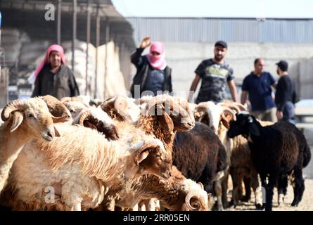 200729 -- SYRIEN, 29. Juli 2020 -- Schafe werden auf einem Viehmarkt in Damaskus, der Hauptstadt Syriens, am 29. Juli 2020 gesehen. Das syrische Volk ist damit beschäftigt, Vorbereitungen für das bevorstehende Eid al-Adha oder das Opferfest zu treffen. Foto von /Xinhua SYRIA-DAMASCUS-LIVESTOCK-EID AL ADHA AmmarxSafarjalani PUBLICATIONxNOTxINxCHN Stockfoto