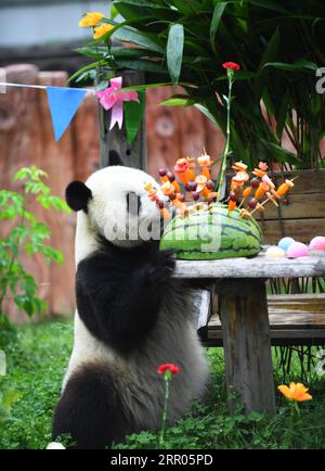 200730 -- CHANGCHUN, 30. Juli 2020 -- Giant Panda Chu Xin genießt das Geburtstagsessen in der Pandahalle des Sibirischen Tigerparks in Changchun, nordöstliche chinesische Provinz Jilin, 30. Juli 2020. Am Donnerstag fand eine Geburtstagsparty statt, um den vierten Geburtstag von Riesen-Pandas Chu Xin und Mu Yun zu feiern. CHINA-JILIN-RIESEN-PANDAS-GEBURTSTAG CN LINXHONG PUBLICATIONXNOTXINXCHN Stockfoto