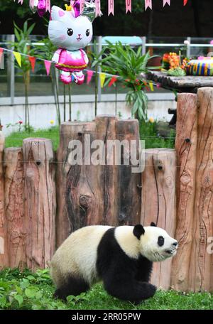 200730 -- CHANGCHUN, 30. Juli 2020 -- der Riesenpanda Chu Xin hat Spaß während der Geburtstagsfeier in der Pandahalle des Sibirischen Tigerparks in Changchun, nordöstliche chinesische Provinz Jilin, 30. Juli 2020. Am Donnerstag fand eine Geburtstagsparty statt, um den vierten Geburtstag von Riesen-Pandas Chu Xin und Mu Yun zu feiern. CHINA-JILIN-RIESEN-PANDAS-GEBURTSTAG CN LINXHONG PUBLICATIONXNOTXINXCHN Stockfoto