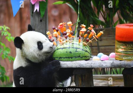 200730 -- CHANGCHUN, 30. Juli 2020 -- Giant Panda Chu Xin genießt das Geburtstagsessen in der Pandahalle des Sibirischen Tigerparks in Changchun, nordöstliche chinesische Provinz Jilin, 30. Juli 2020. Am Donnerstag fand eine Geburtstagsparty statt, um den vierten Geburtstag von Riesen-Pandas Chu Xin und Mu Yun zu feiern. CHINA-JILIN-RIESEN-PANDAS-GEBURTSTAG CN LINXHONG PUBLICATIONXNOTXINXCHN Stockfoto
