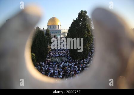 News Bilder des Tages 200731 -- JERUSALEM, 31. Juli 2020 Xinhua -- muslimische Gläubige beten, während sie Eid al-Adha auf dem Gelände markieren, das Muslimen als Nobles Heiligtum und Juden als Tempelberg in der Altstadt von Jerusalem bekannt ist, am 31. Juli 2020. Foto: Muammar Awad/Xinhua MIDEAST-JERUSALEM-EID AL-ADHA PUBLICATIONxNOTxINxCHN Stockfoto