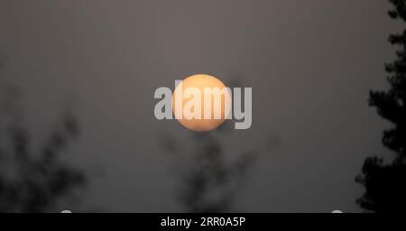 Wimbledon, London, Großbritannien. September 2023. Die Temperatur in London wird dieses Jahr mit einem milden und trüben Sonnenaufgang über den Bäumen die höchste sein. Quelle: Malcolm Park/Alamy Live News Stockfoto