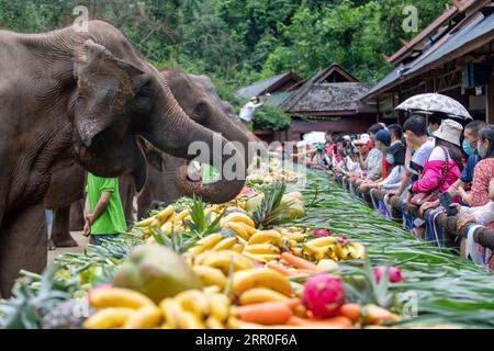 News Bilder des Tages 200812 -- XISHUANGBANNA, 12. August 2020 -- Elefanten essen Obst und Gemüse während der Feierlichkeiten des Weltelfentages im malerischen Wild Elephant Valley in der autonomen Präfektur Dai Xishuangbanna, Provinz Yunnan im Südwesten Chinas, 12. August 2020. ZU GEHEN MIT China s Yunnan feiert Weltelefanten-Tag Foto von /Xinhua CHINA-YUNNAN-XISHUANGBANNA-WELT ELEFANTEN-TAG-FEIERN CN ChenxXinbo PUBLICATIONxNOTxINxCHN Stockfoto