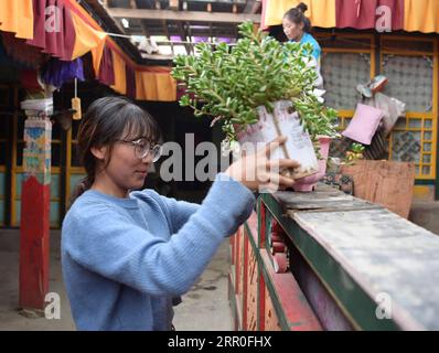 200813 -- LHASA, 13. August 2020 -- Gesang Wangmo dekoriert ihr Haus mit Grün im Bainang County, Xigaze, südwestchinesische Autonome Region Tibet, 3. August 2020. Nach ihrem Abschluss an einer Berufsfachschule im Jahr 2018 begann Gesang Wangmo mit ihrer älteren Schwester Degyi Zhoima in ihrer Heimatstadt Bainang County, einem bedeutenden Standort für Gemüseproduktion in Tibet, einen Obst- und Gemüsegartenbetrieb. Die Schwestern hatten im Jahr 2019 mit staatlichen Mitteln 13 Gewächshäuser aufgebaut und durch die Einführung neuer Pflanzenarten und Anbautechnologien die Einnahmen gesteigert. Im vergangenen August eröffnete Gesang einen Gemüsestor Stockfoto