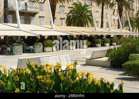 Kroatien Split Stadt Hafen Hafen Altstadt Hauptpromenade Riva überdachte Cafés Restaurants Palmen tropische Blumenbeete Stockfoto