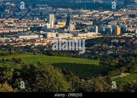 200816 -- WIEN, 16. Aug. 2020 -- Foto aufgenommen am 16. Aug. 2020 zeigt den Blick über Wien von der Kahlenberg Panoramaterrasse, in Wien, Österreich. Die Kahlenberg Panoramaterrasse ist einer der berühmten Aussichtspunkte in Wien, der die Stadt überblickt und viele Touristen anzieht. ÖSTERREICH-WIEN-KAHLENBERG PANORAMA-TERRASSENLANDSCHAFT GUOXCHEN PUBLICATIONXNOTXINXCHN Stockfoto