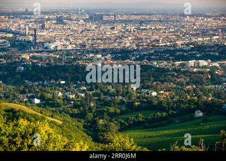 200816 -- WIEN, 16. Aug. 2020 -- Foto aufgenommen am 16. Aug. 2020 zeigt den Blick über Wien von der Kahlenberg Panoramaterrasse, in Wien, Österreich. Die Kahlenberg Panoramaterrasse ist einer der berühmten Aussichtspunkte in Wien, der die Stadt überblickt und viele Touristen anzieht. ÖSTERREICH-WIEN-KAHLENBERG PANORAMA-TERRASSENLANDSCHAFT GUOXCHEN PUBLICATIONXNOTXINXCHN Stockfoto