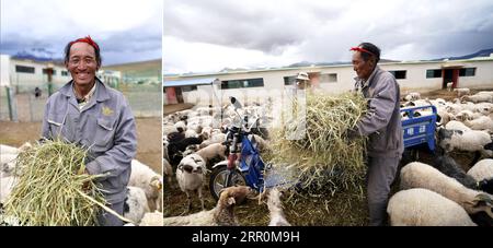 200820 -- LHASA, 20. August 2020 -- auf diesem Kombinationsfoto, das am 31. Juli 2020 aufgenommen wurde, ist der linke Teil ein Porträt des Dorfbewohners Tonzhub im Dorf Bangbug im Tingri County, Xigaze, im Südwesten Chinas autonome Region Tibet, und der rechte Teil zeigt Tonzhub, der Schafe in der Tierhaltung des Dorfes Bangbug ernährt. Tonzhub verdient 3.500 Yuan 506 US-Dollar pro Monat und kümmert sich um Schafe für die Tierhaltung, was ihm am Ende des Jahres auch Dividenden bietet. In den letzten Jahren hat die Autonome Region Tibet der Armutsbekämpfung hohe Priorität eingeräumt und ergreift wirksame Maßnahmen zur Verbesserung des Lebens und der Lebensqualität Stockfoto