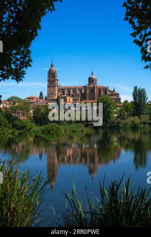 Blick eingerahmt von Bäumen und Vegetation der Kathedrale von Salamanca von der anderen Seite des Flusses Tormes mit seiner Reflexion im ruhigen Wasser Stockfoto