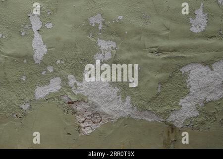 Ein abstrakter grüner Wandhintergrund mit strukturierter Farbe und Holzdielen. Stockfoto